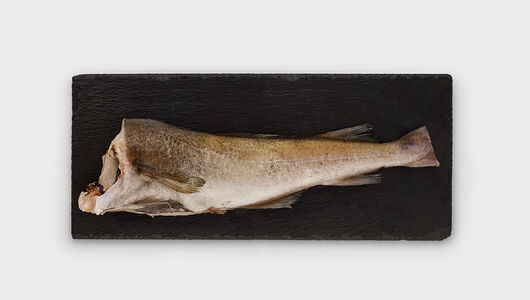 Треска потрошеная без головы замороженная