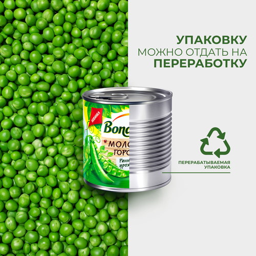 

Горошек зеленый Бондюэль 200 г