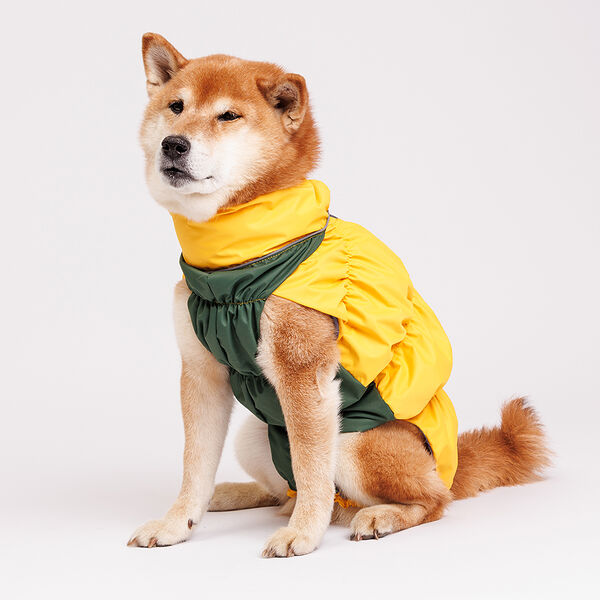 Жилетка с мембраной и подкладкой, спина: 40 см, грудь: 65 см, банановый (мальчик)