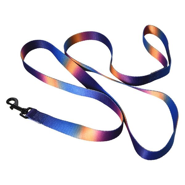 Поводок для собак Foxie Sunset L 2.5х200см разноцветный
