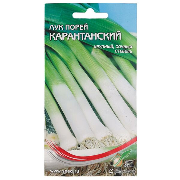 Семена Лук-порей Карантанский Дом семян 1г