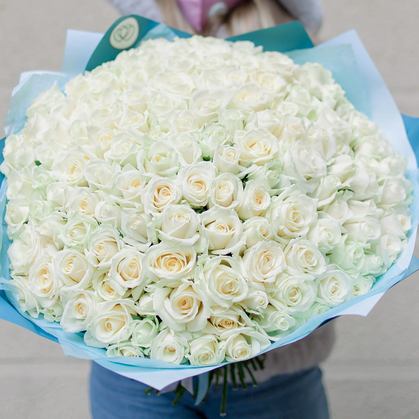 Букет из 151 белой розы 35-40 см (Россия) в голубой пленке