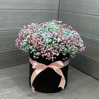 Изображение 5