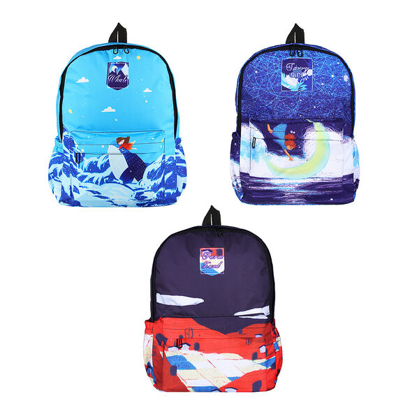 Рюкзак подростковый 40x30x14см, 1 отд., 4карм. (1 на спинке), цв.принт в виде картины, пэ, 3 дизайна