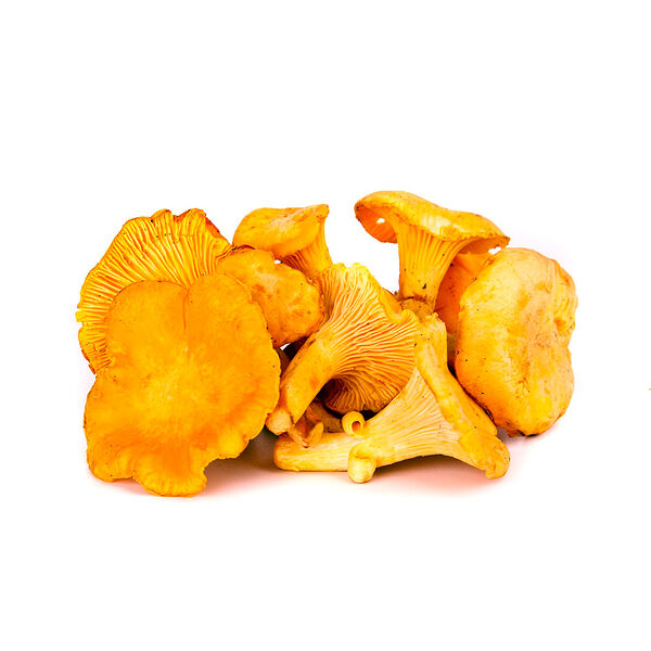 Грибы лисички быстрозам п/э 500г