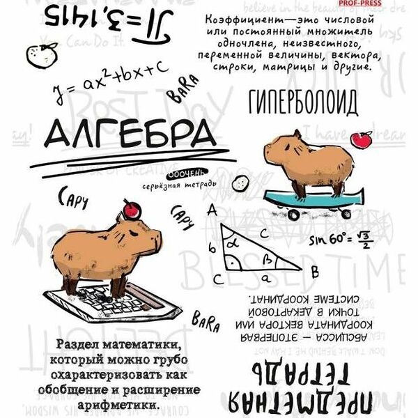 Тетрадь предметная Prof-Press Капибара Алгебра в клетку А5, 48 л