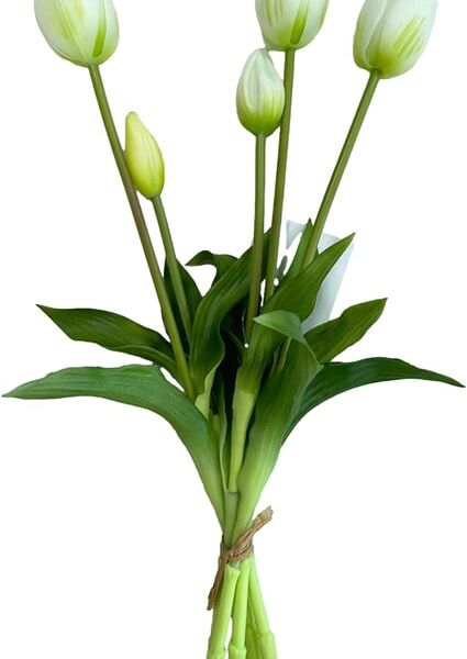 Тюльпаны 5 цветочков белые 40см