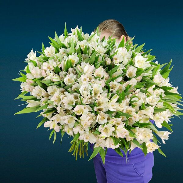 Букет из 51 белой альстромерии #17