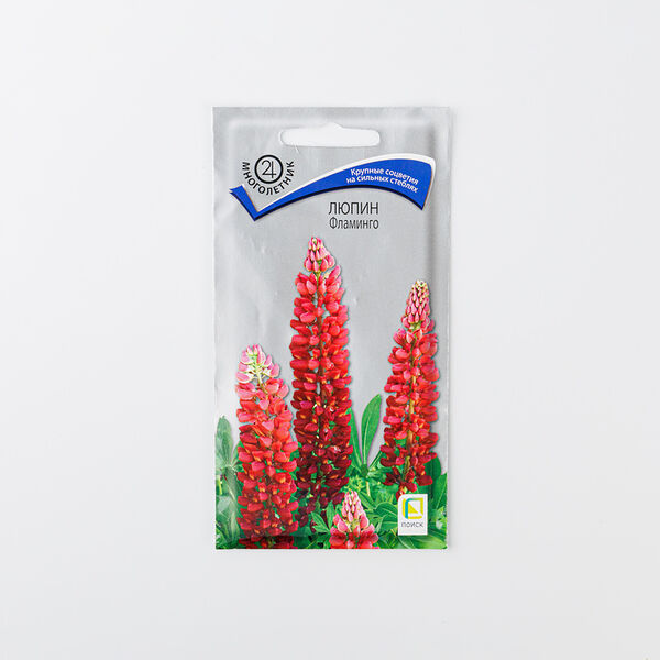 Семена Люпин 