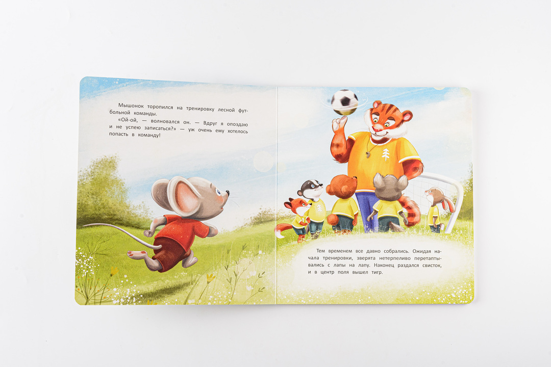 

Книжка. Решающий матч. Александра Хворост