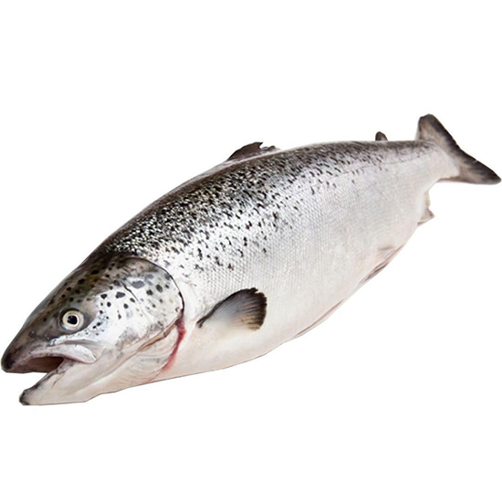 

Лосось замороженный вес