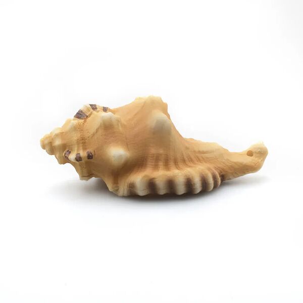 Декорация пластиковая для аквариума Ракушка Бурса, 10,5х5х4 см