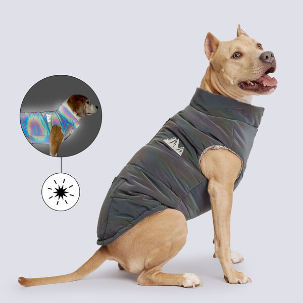 Куртка для собак Petmax серая светоотражающая 2XL