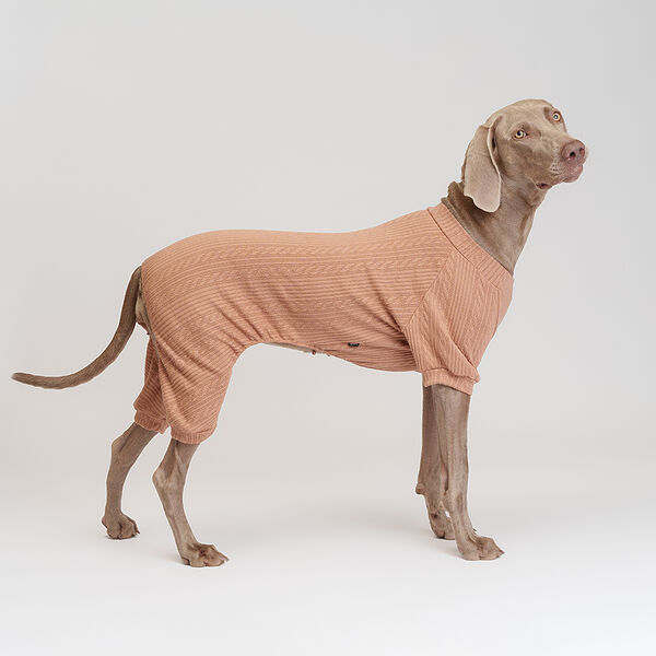 Костюм светлый трикотаж для собак, размер 4XL