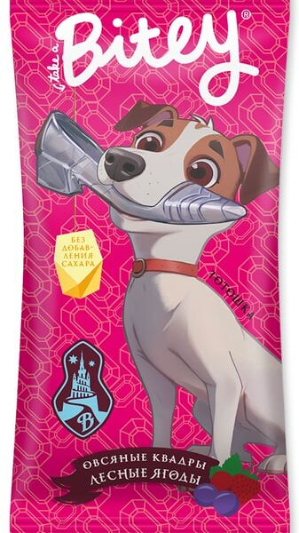 Квадры Take a Bitey овсяные Лесные ягоды 30г