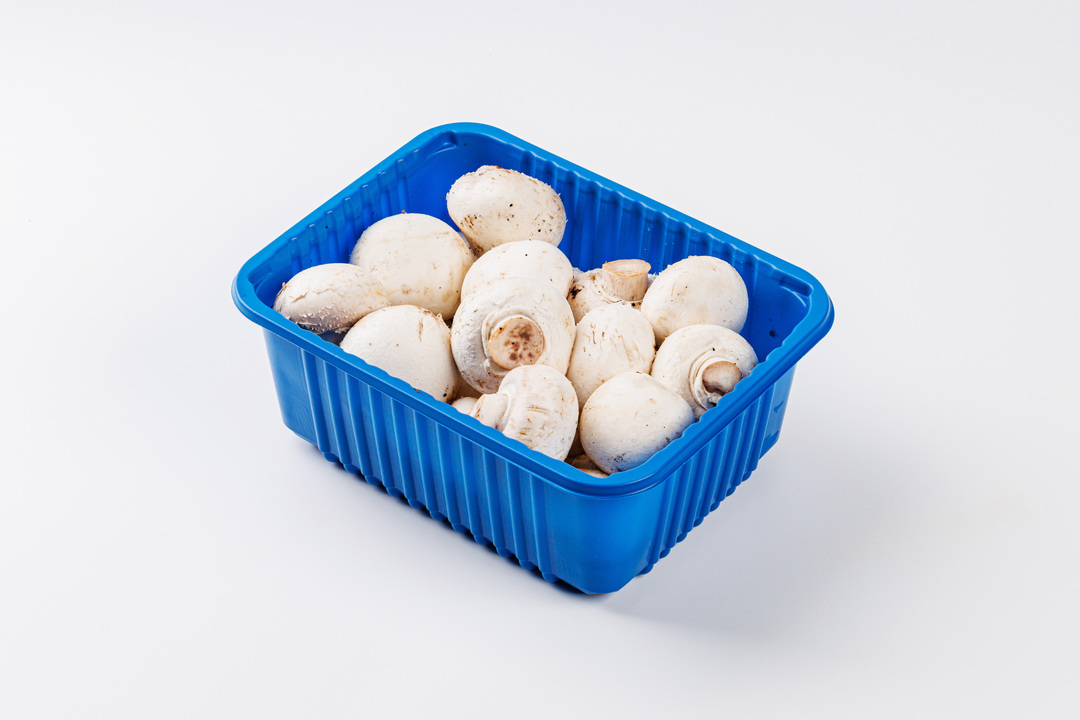 

Грибы Шампиньоны Вкусвилл, 400 г