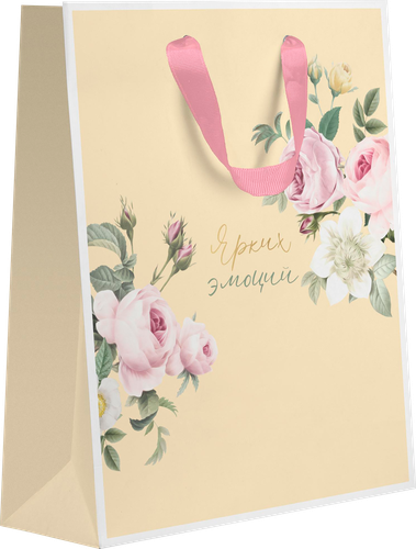 

Пакет подарочный Paketiko Enamor 22.7х18х10 см, дизайн в ассортименте