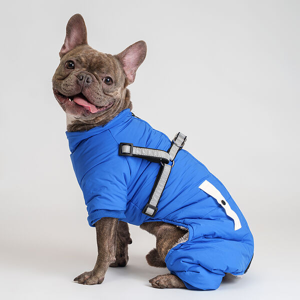 Комбинезон со шлейкой Petmax для собак L синий