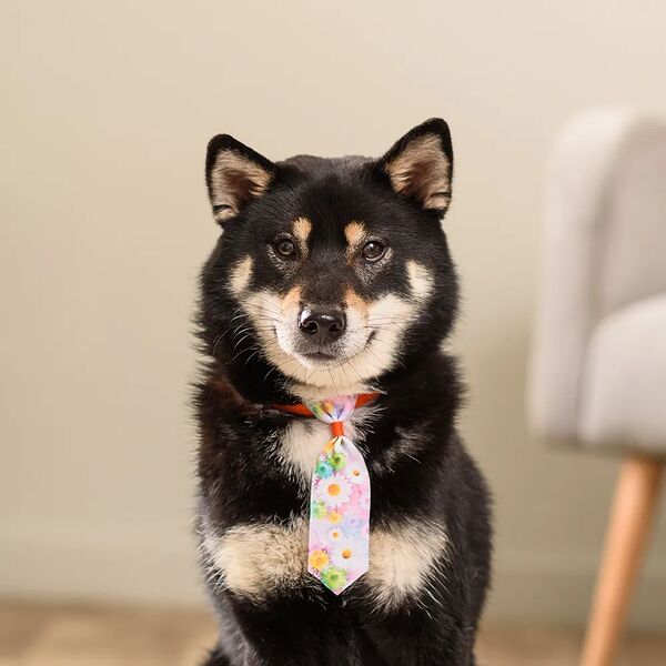 Галстук с цветочками для кошек и собак, 13.5х4 см, разноцветный