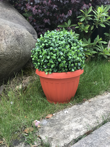 

Светильник Giardino Club Куст в горшке на солнечной батарее 10LED d 22 см