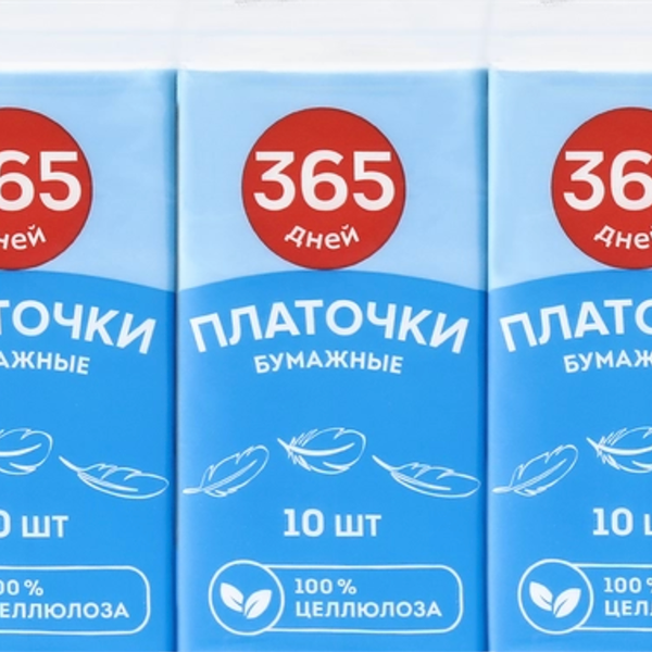 Платочки бумажные 365 ДНЕЙ, 10шт х 10