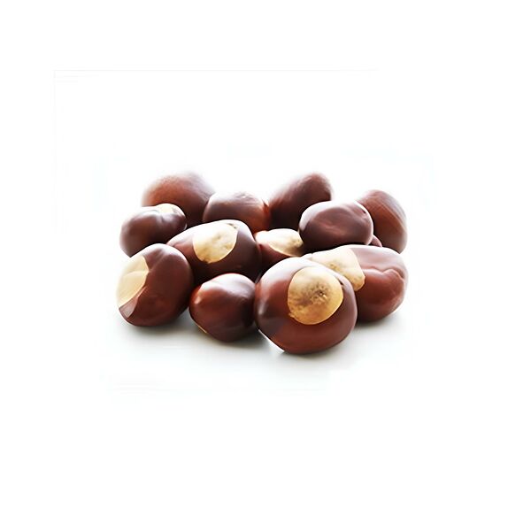 Каштан свежий вес РФ