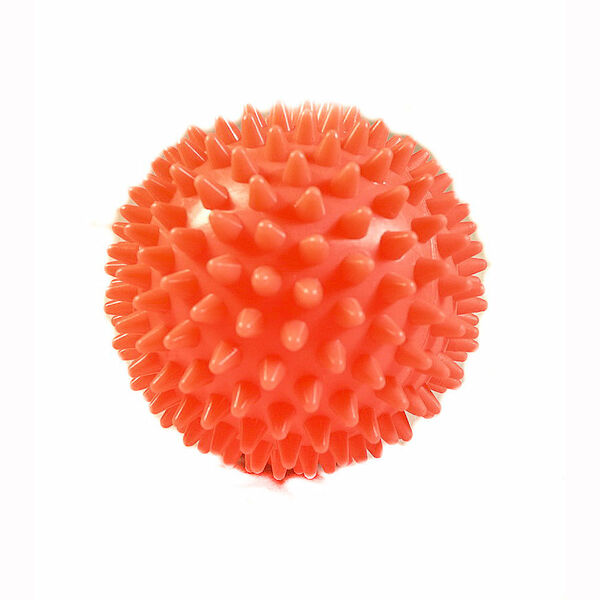 Игрушка для собак Мяч для массажа 9,5 см