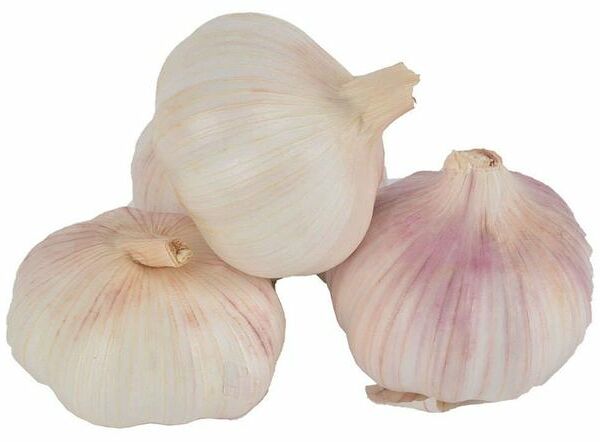 Чеснок вес