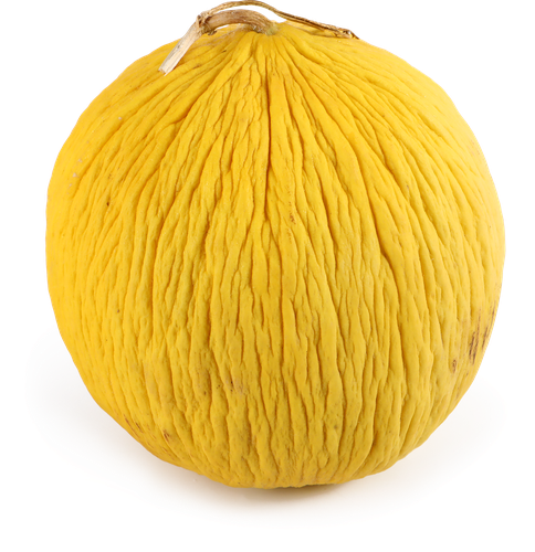 

Дыня инжирная Кампир вес