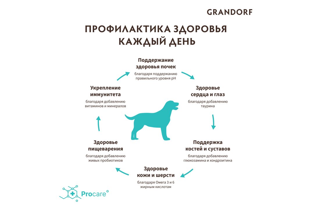 

Сухой корм для собак Grandorf 4 Meat Recipe Adult Medium & Maxi 4 вида мяса с живыми пробиотиками 3 кг