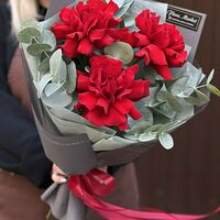 Изображение 3