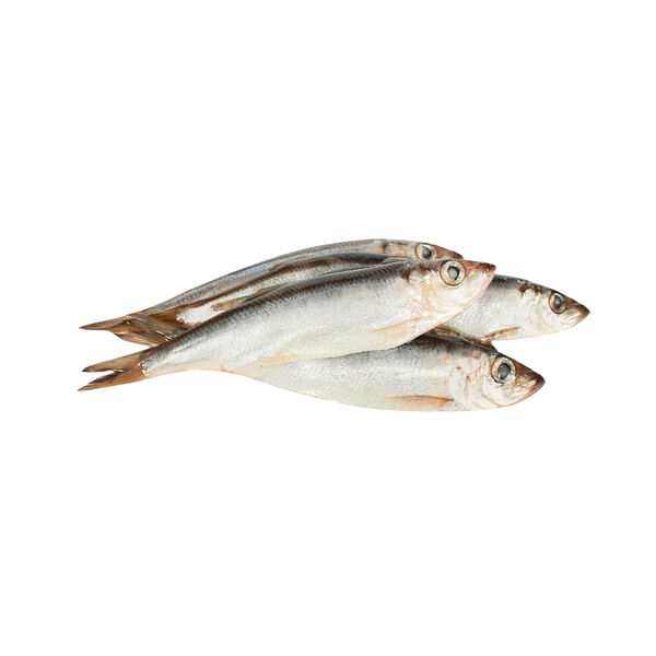 Салака с/г шт зам вес