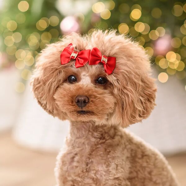 Petmax Бантик красный со вставкой 2шт