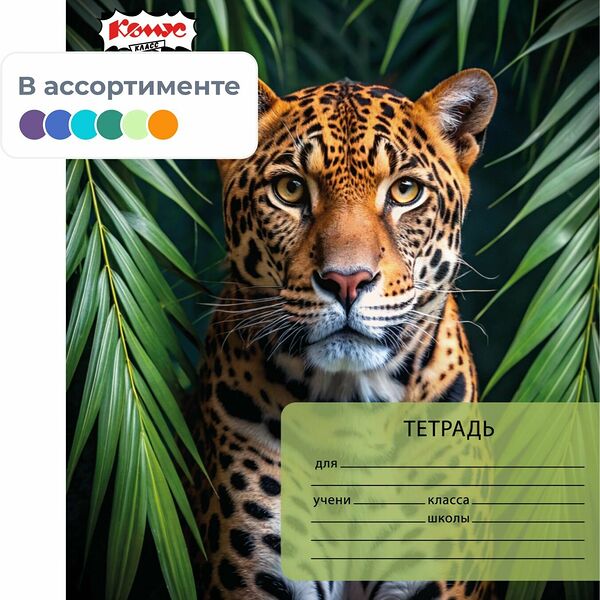 Тетрадь школьная А5 24л клетка Комус Класс Дикие животные ассорти 2021693