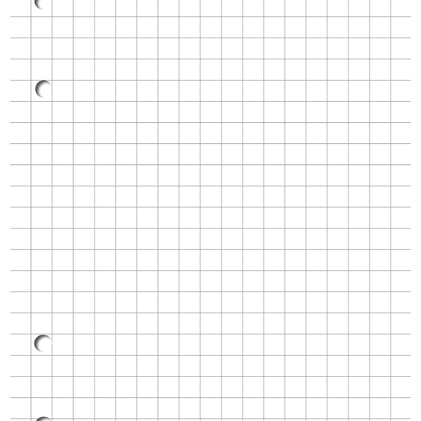 Блок сменный в клетку А4 ТМ Апплика, 100 л