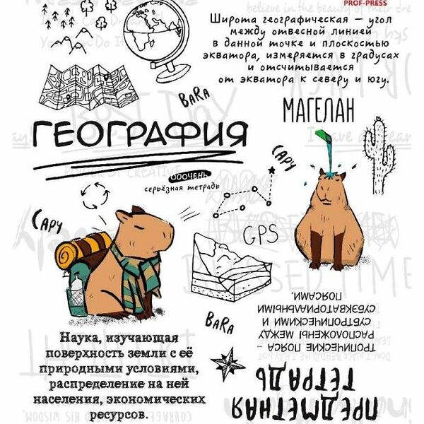 Тетрадь предметная Prof-Press Капибара География в клетку А5, 48 листов, в ассортименте