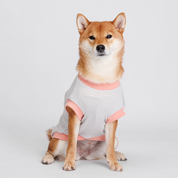 Petmax Футболка серая с пейзажем 4XL