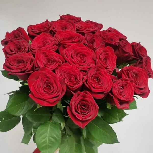 Букет из 25 красных роз