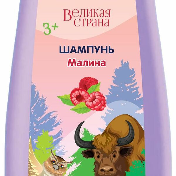 Шампунь для волос Exxe Великая страна Малина 400 мл