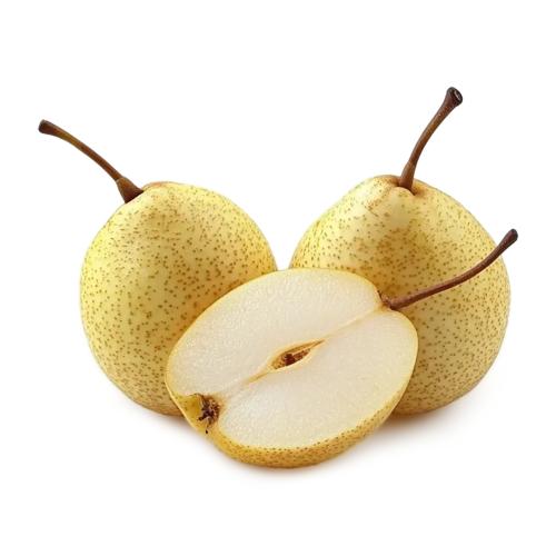 

Груша Китайская весовая