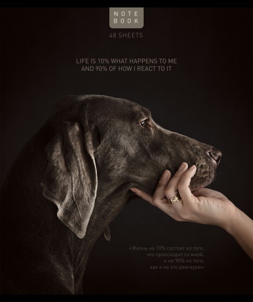 

Тетрадь ПЗБМ Посмотри на меня А5 на скрепке в клетку 48 листов 1 шт. дизайн в ассортименте