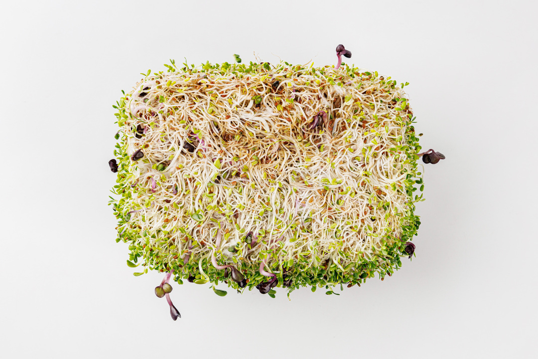 

Микс из ростков "Растительный батон", 250 г