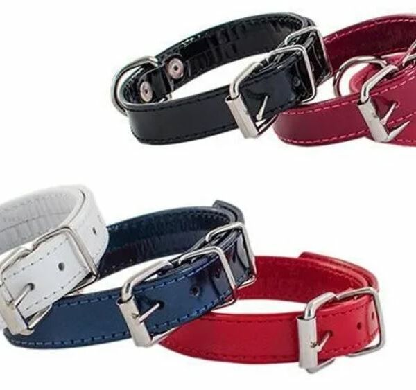 Ошейник для собак ДАРЭЛЛ 710914 Eco Comfort кожаный, 2 слоя 15ммх24-31см в ассортименте