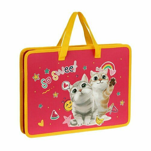 Папка с ручками А4 ArtSpace Sweet Cats пластик на молнии