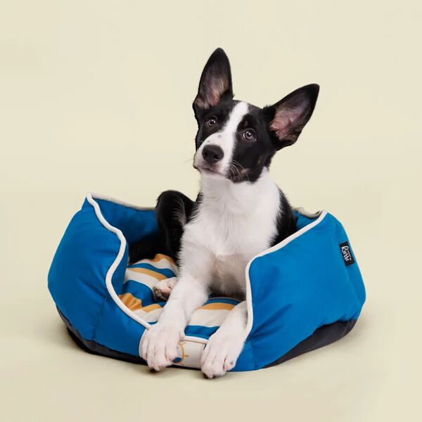 Лежак Аквамарин 55х40х13 см