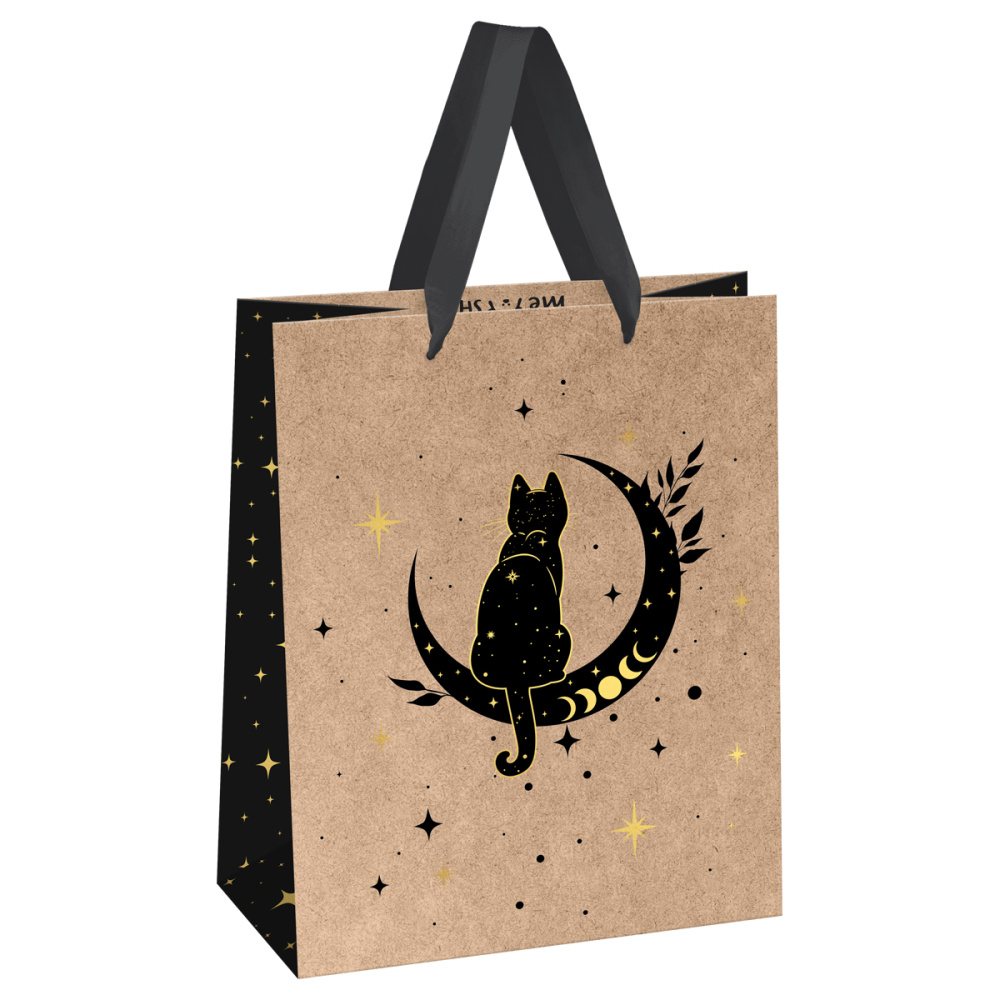 

Пакет подарочный 18х23х10см Meshu Moon cat