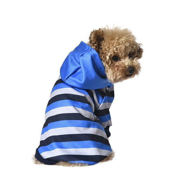 Толстовка для собак FOXIE Summer evening M (длина спины 35 см, обхват груди 52-58 см) голубая