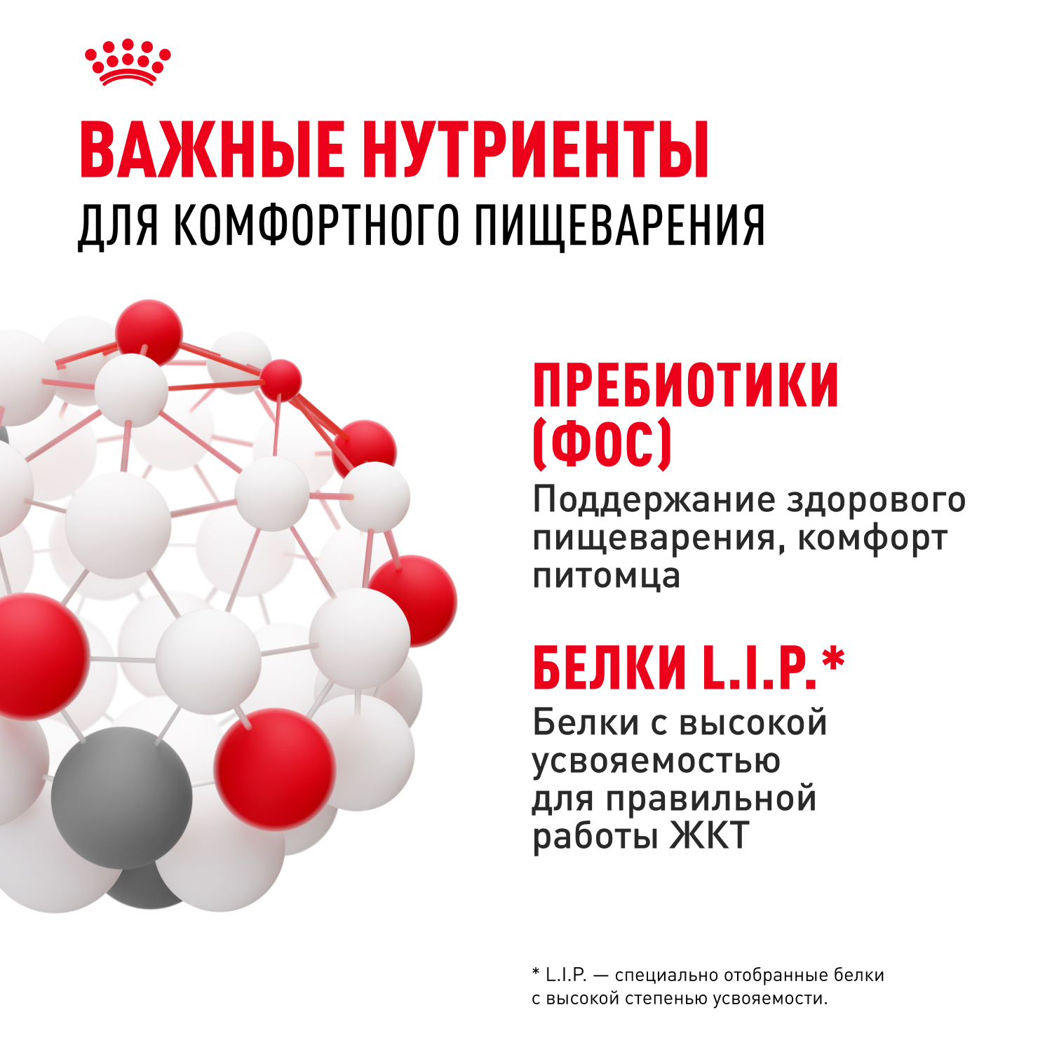 

Корм для взрослых кошек с чувствительной пищеварительной системой Royal Canin Sensible 33 сухой сбалансированный 4 кг