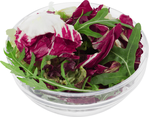 

Смесь салатная Scoro к мясу