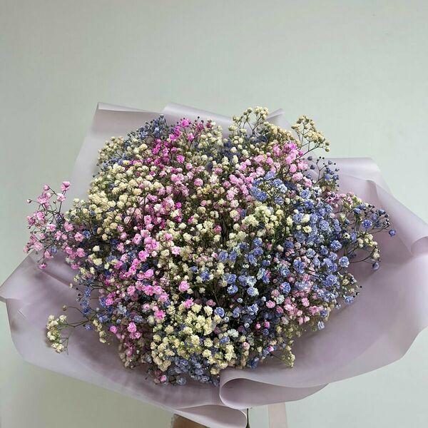 Гипсофила цветная в оформлении